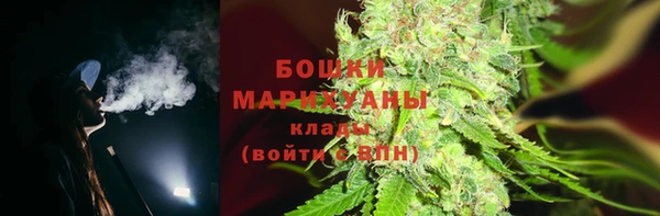 твердый Инта
