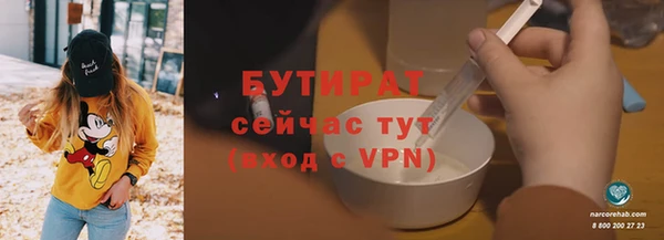 твердый Инта