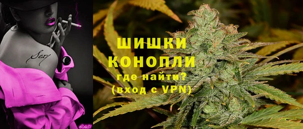 твердый Инта