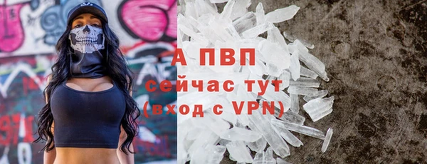 твердый Инта