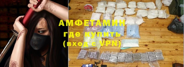твердый Инта