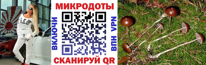 Псилоцибиновые грибы MAGIC MUSHROOMS  Купить закладки  Югорск 