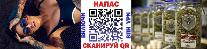 Бошки Шишки SATIVA & INDICA  Купить где  Югорск 